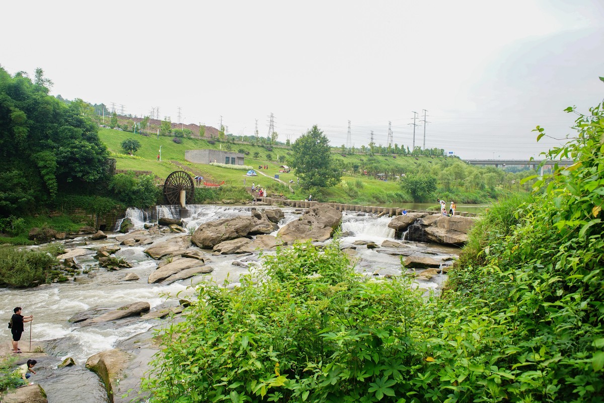 竹溪河公园花田湿地广场