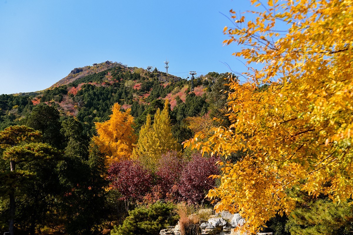 2022年第906贴-香山公园红叶季-1（1104F）