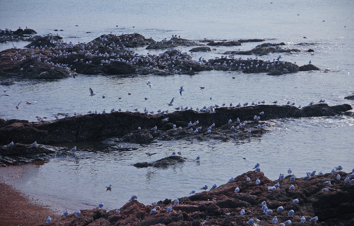 2023年元月一日新年第一帖。祝大家新年快乐万事如意！