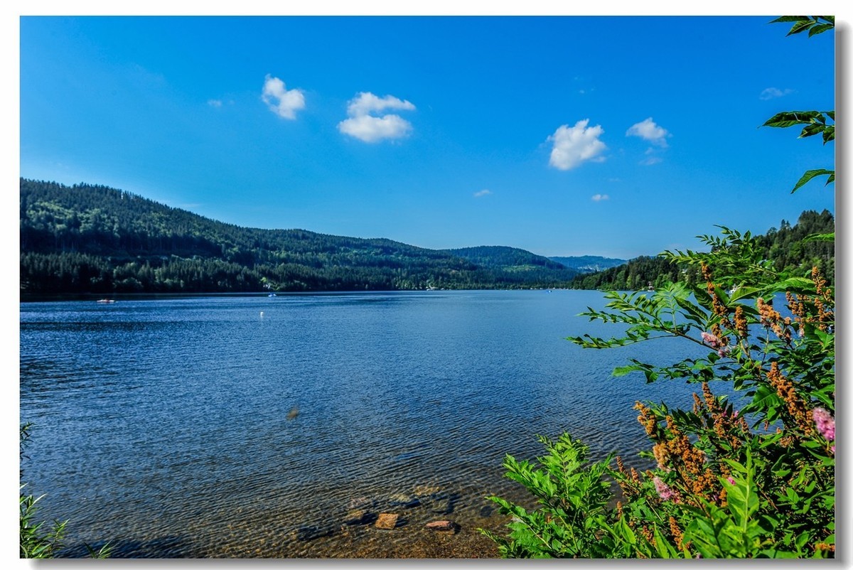 黑森林高山湖--滴滴湖（Titisee）