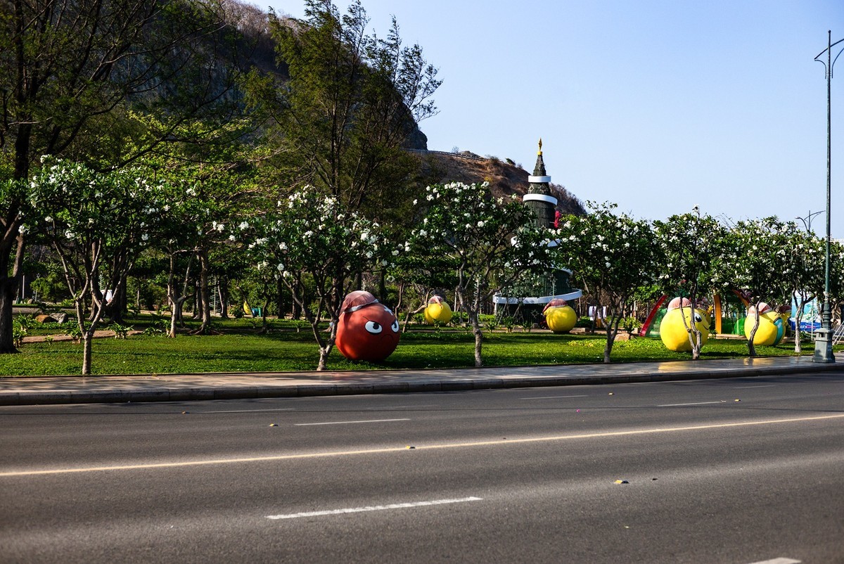 Lecia MP240+Nokton 50/1.5VM 至尊复刻版(越南-头顿市随拍 )