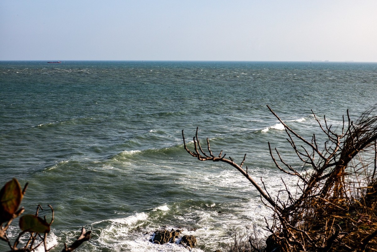 Lecia MP240+Nokton 50/1.5VM 至尊复刻版(越南-头顿市随拍 )