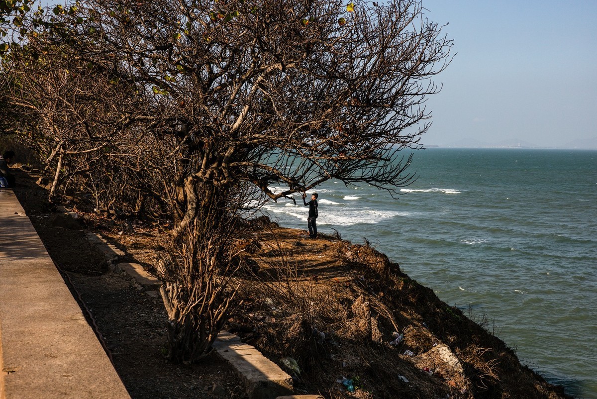 Lecia MP240+Nokton 50/1.5VM 至尊复刻版(越南-头顿市随拍 )