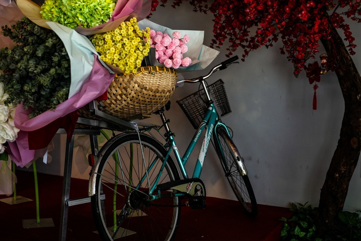 Lecia MP240+Nokton 50/1.5VM 至尊复刻版(越南-头顿市随拍 )