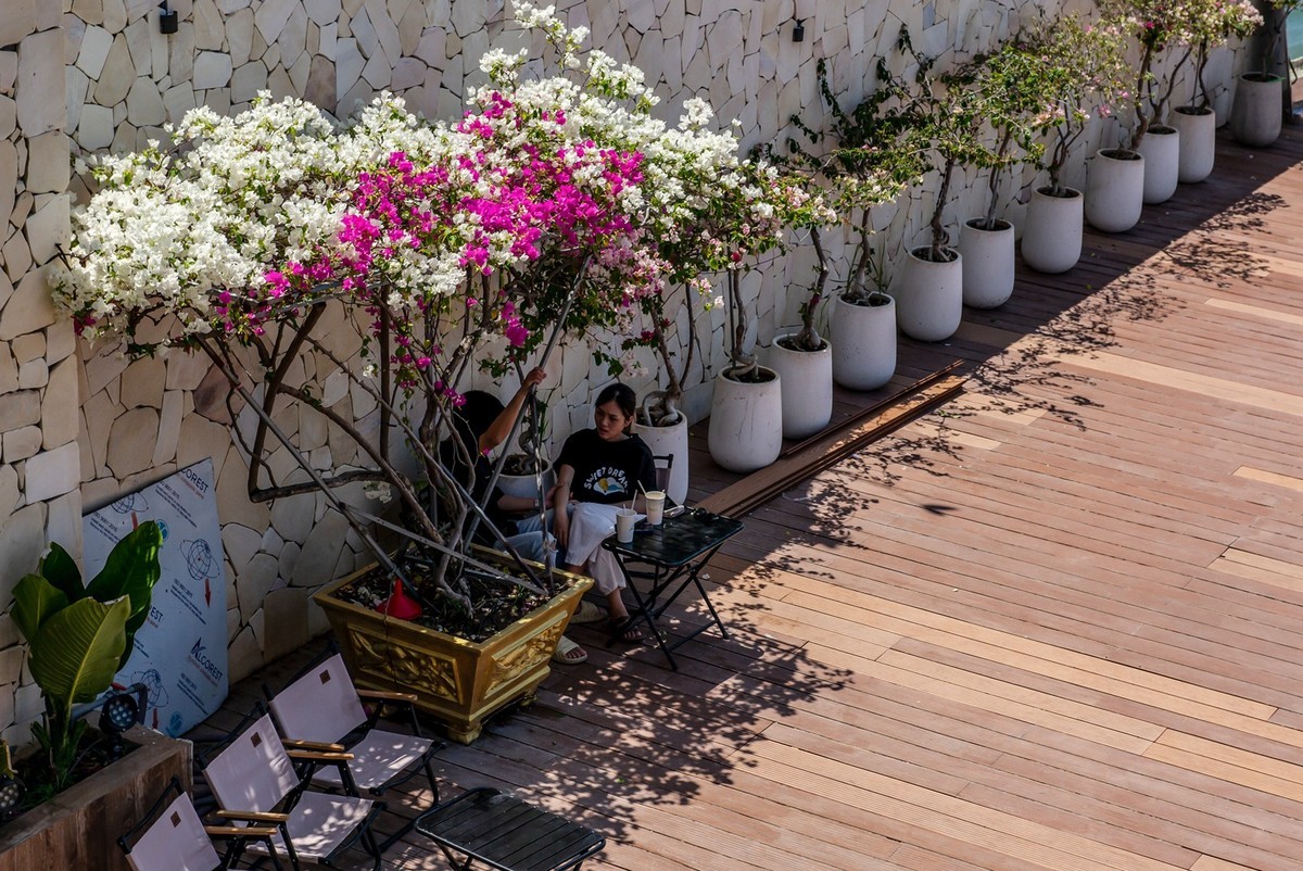 Lecia MP240+Nokton 50/1.5VM 至尊复刻版(越南-头顿市随拍 )