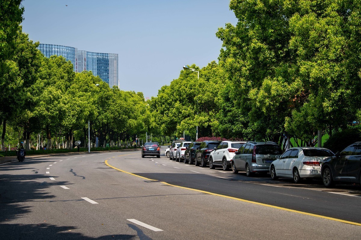 庐州印象（324）天鹅湖体育公园