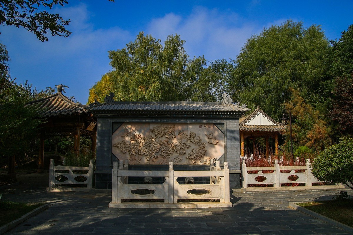 腾龙16-300这头可玩性不错啊！