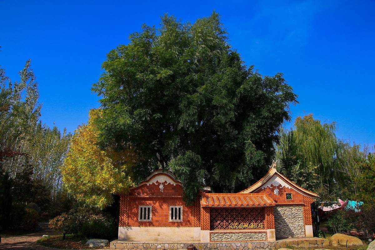 腾龙16-300这头可玩性不错啊！