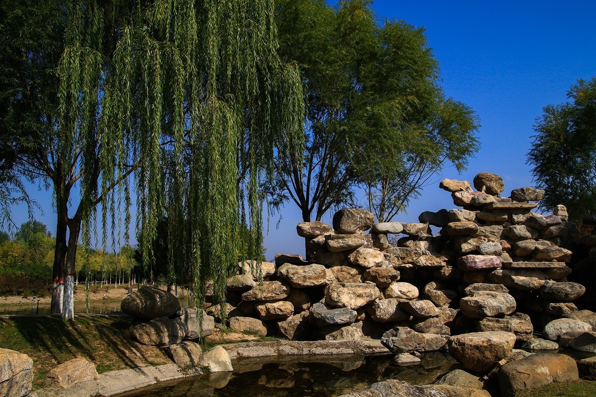 腾龙16-300这头可玩性不错啊！