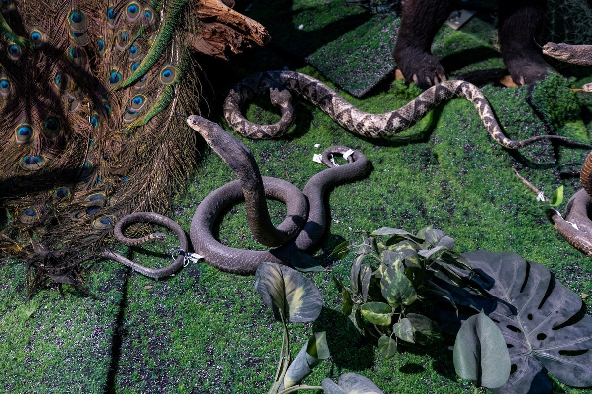 广东中药博物馆（18）