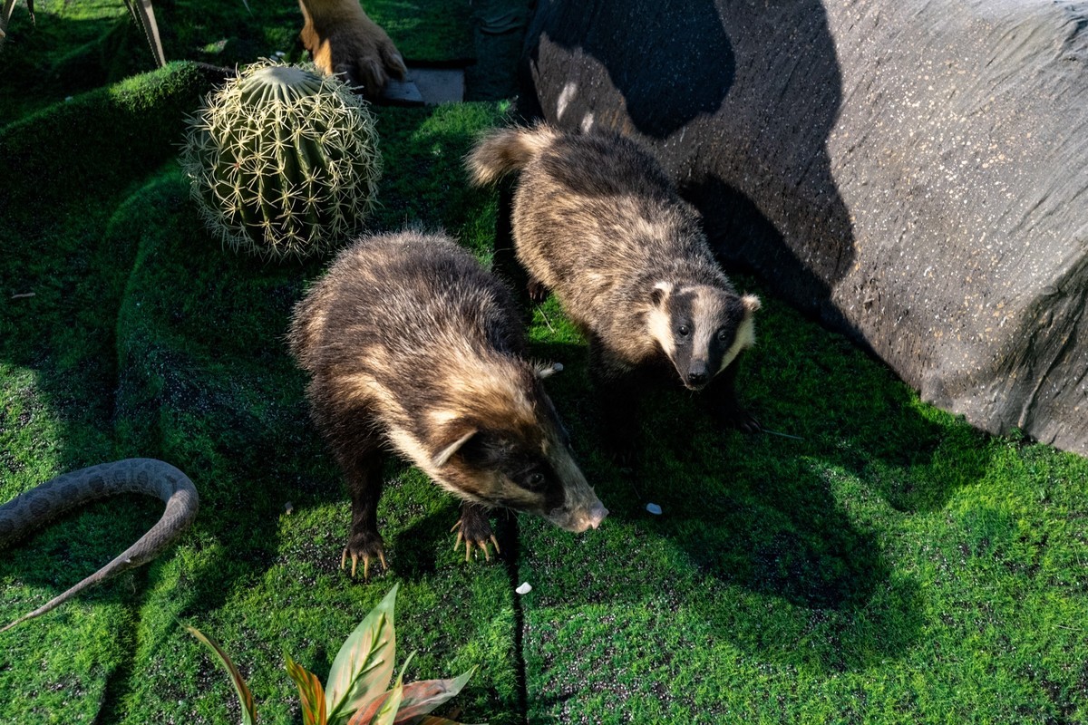 广东中药博物馆（18）