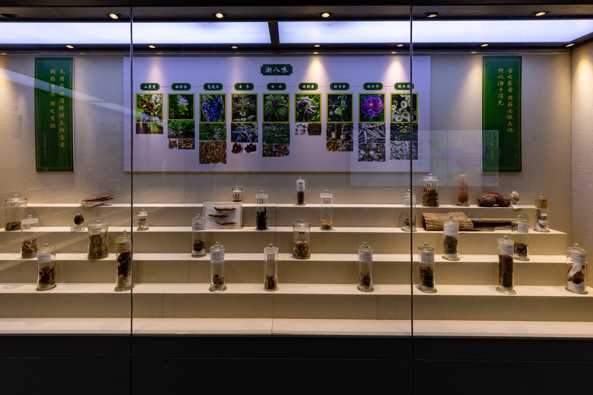 广东中药博物馆（18）