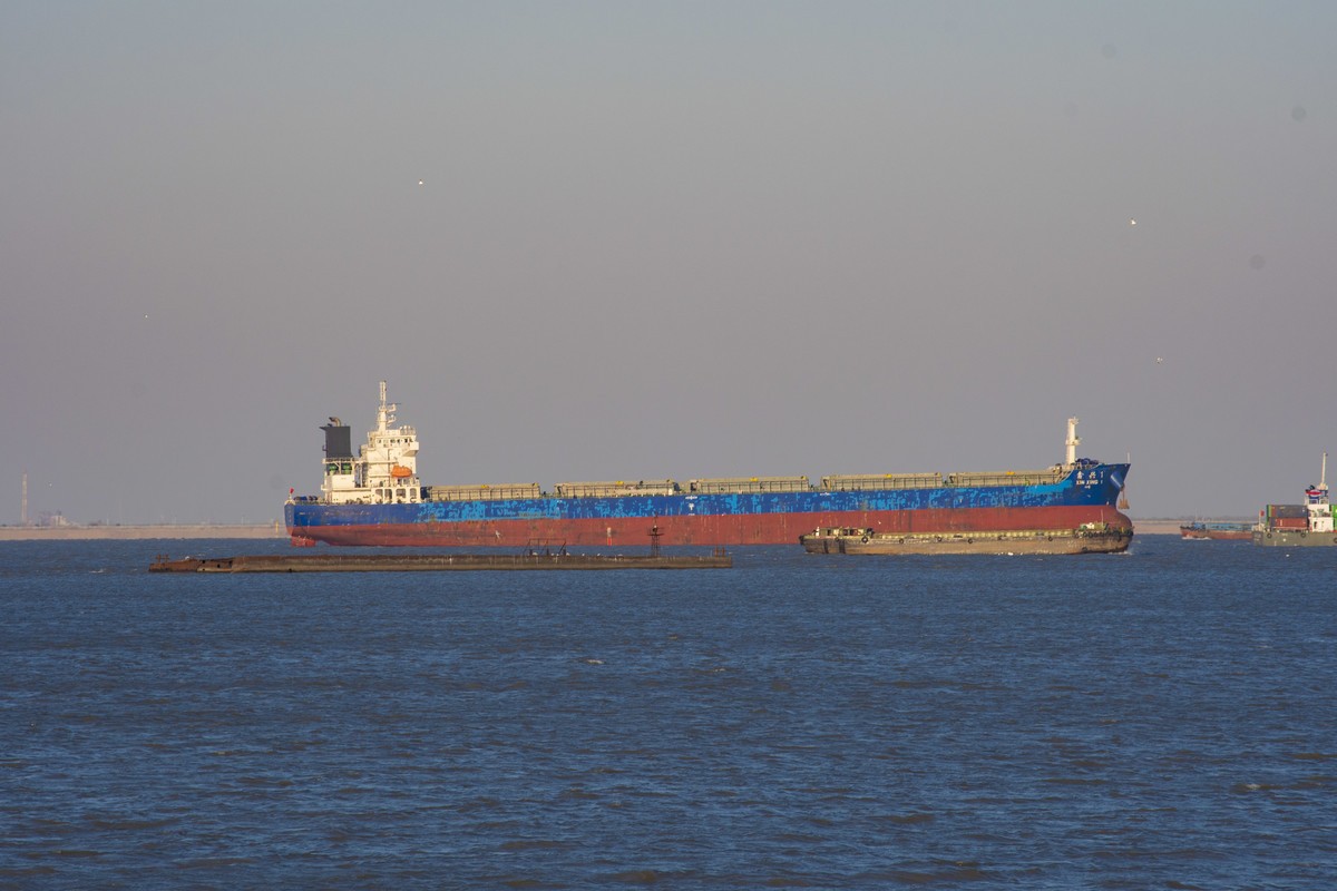 拍照狂魔之-上海吴淞炮台国家湿地公园一【12P】