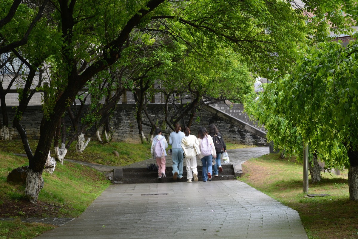 校园春色绿油油