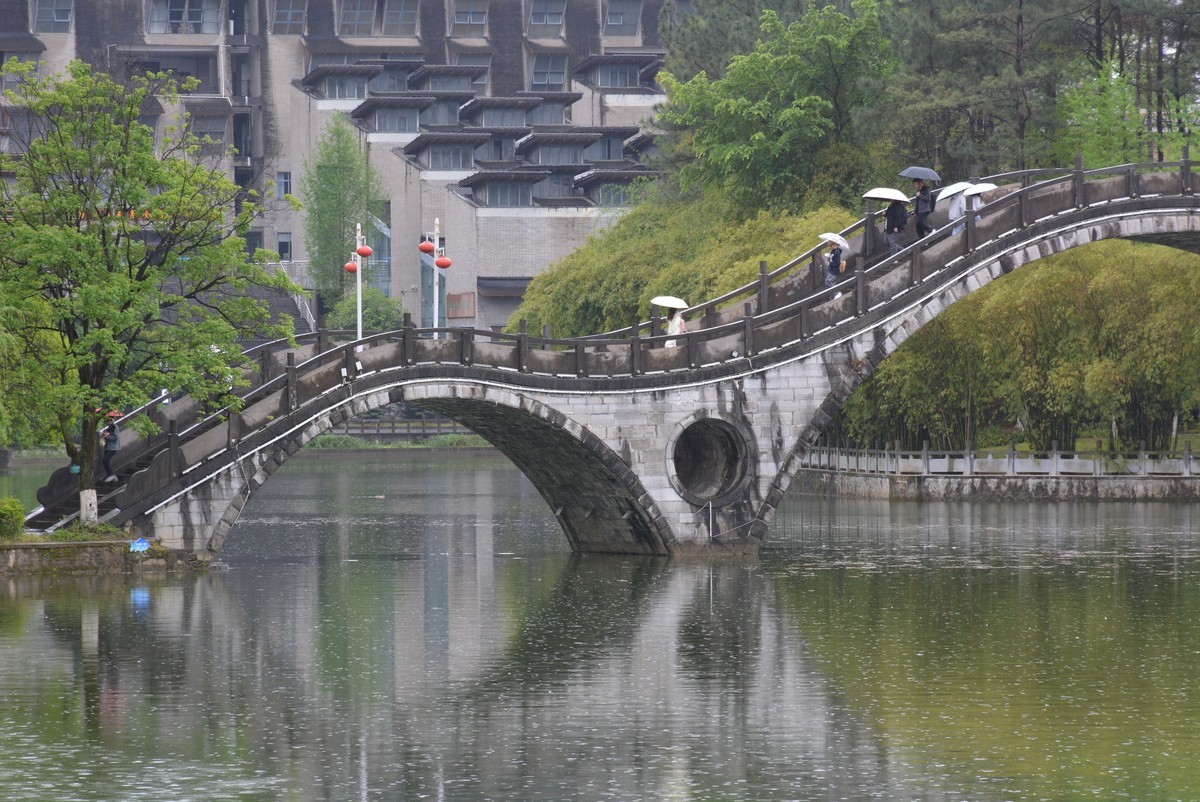 校园春色绿油油