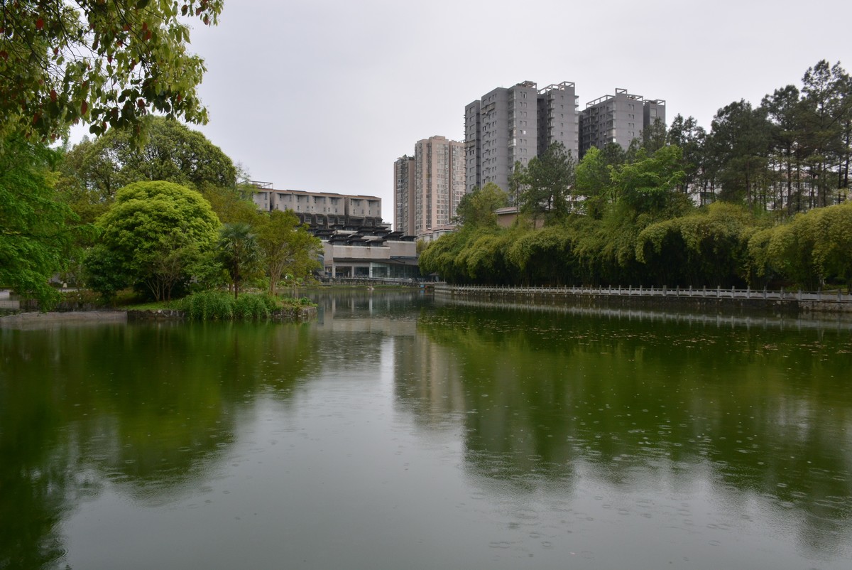 校园春色绿油油