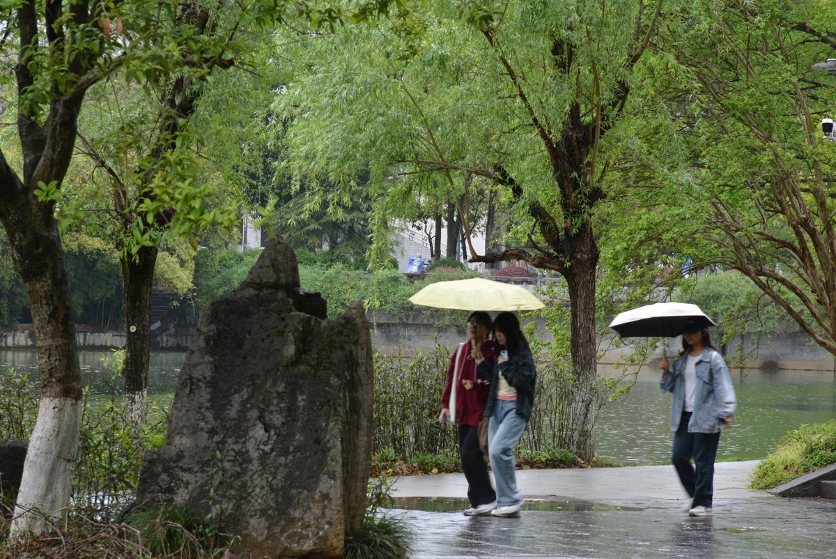校园春色绿油油