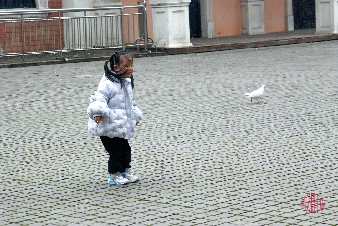 3.16，阴，花儿开锦鲤游  周鸣天