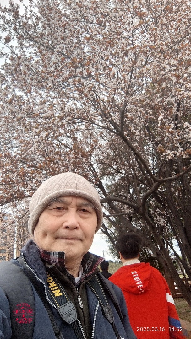 3.16，阴，花儿开锦鲤游  周鸣天