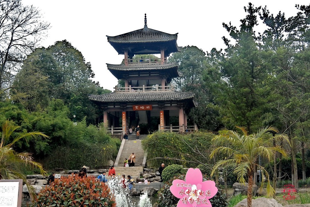 3.16，阴，花儿开锦鲤游  周鸣天