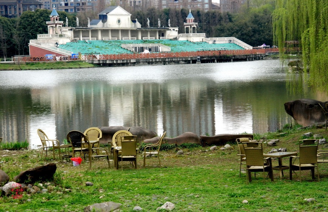 3.16，阴，花儿开锦鲤游  周鸣天