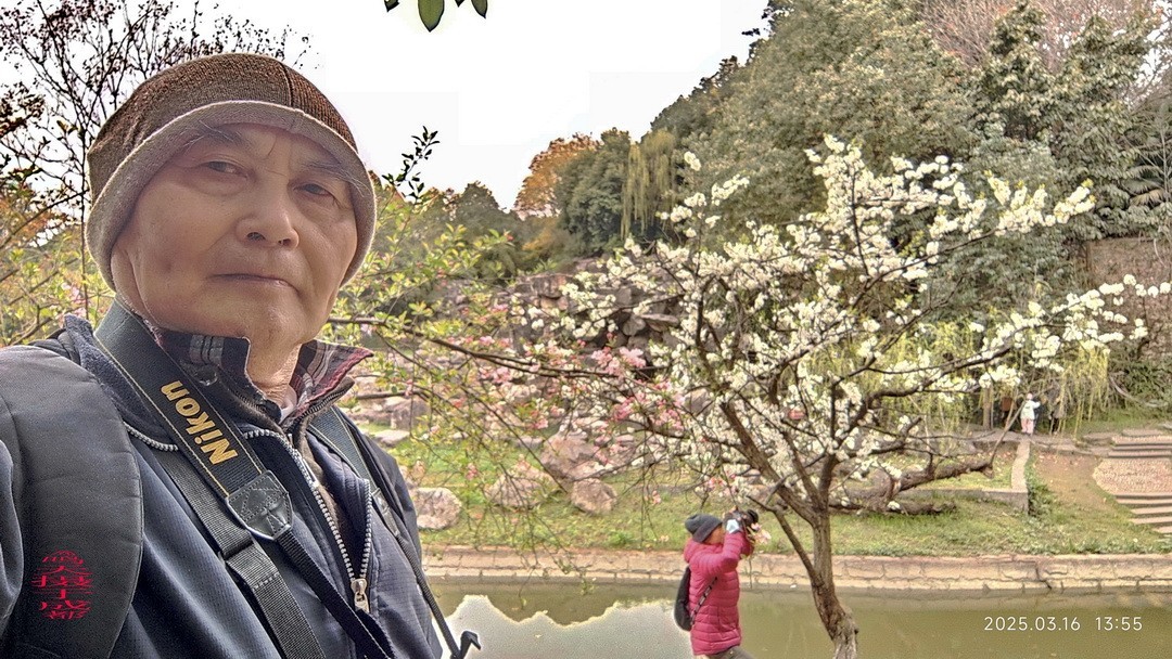 3.16，阴，花儿开锦鲤游  周鸣天