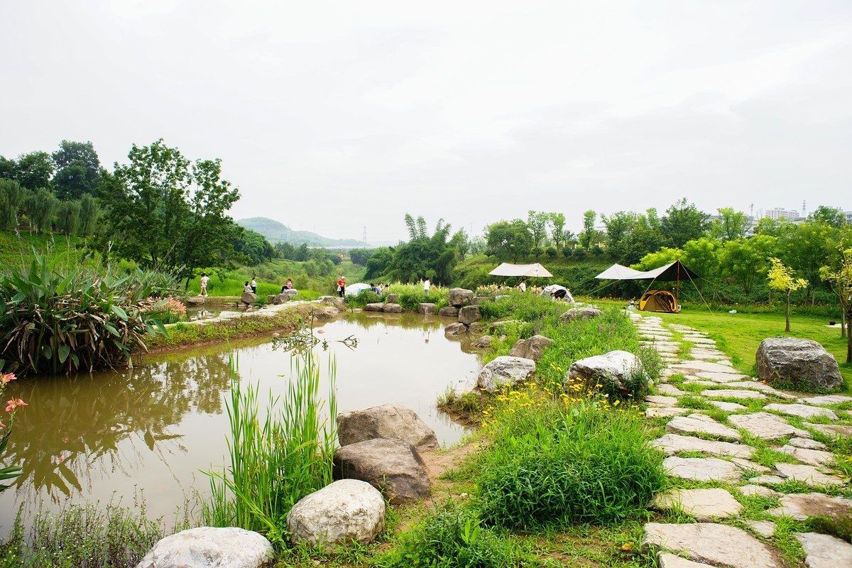 竹溪河公园花田湿地广场