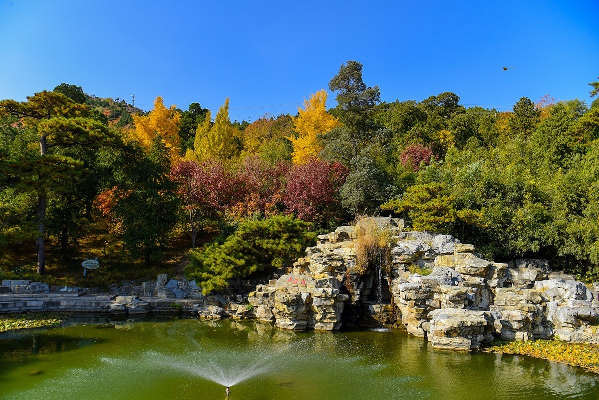 2022年第906贴-香山公园红叶季-1（1104F）
