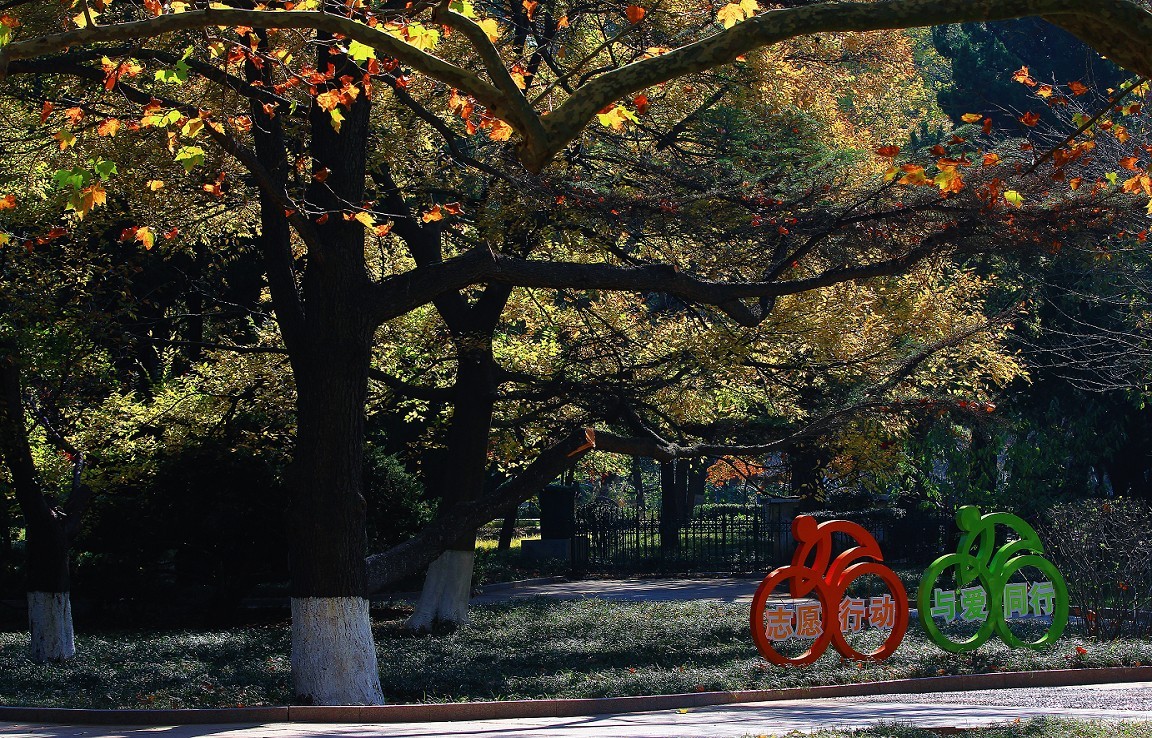 2023年元月一日新年第一帖。祝大家新年快乐万事如意！