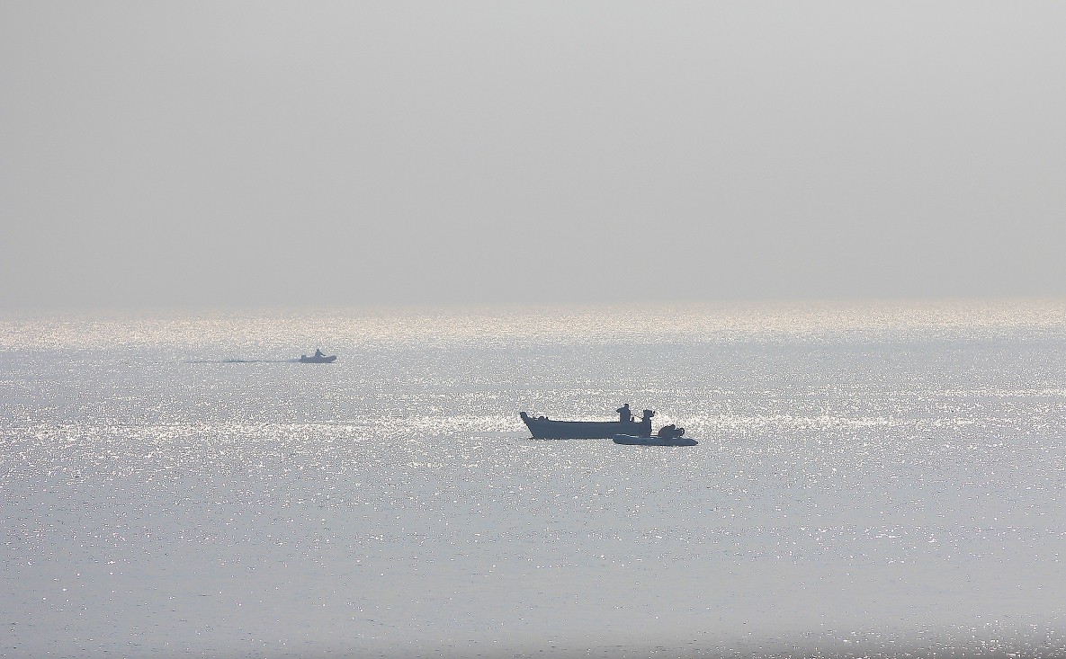 2023年元月一日新年第一帖。祝大家新年快乐万事如意！