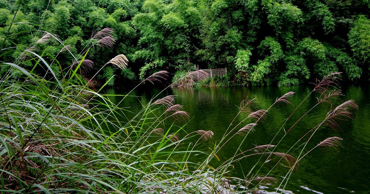 四川乐山市沐川县竹海游--（3）水面风光