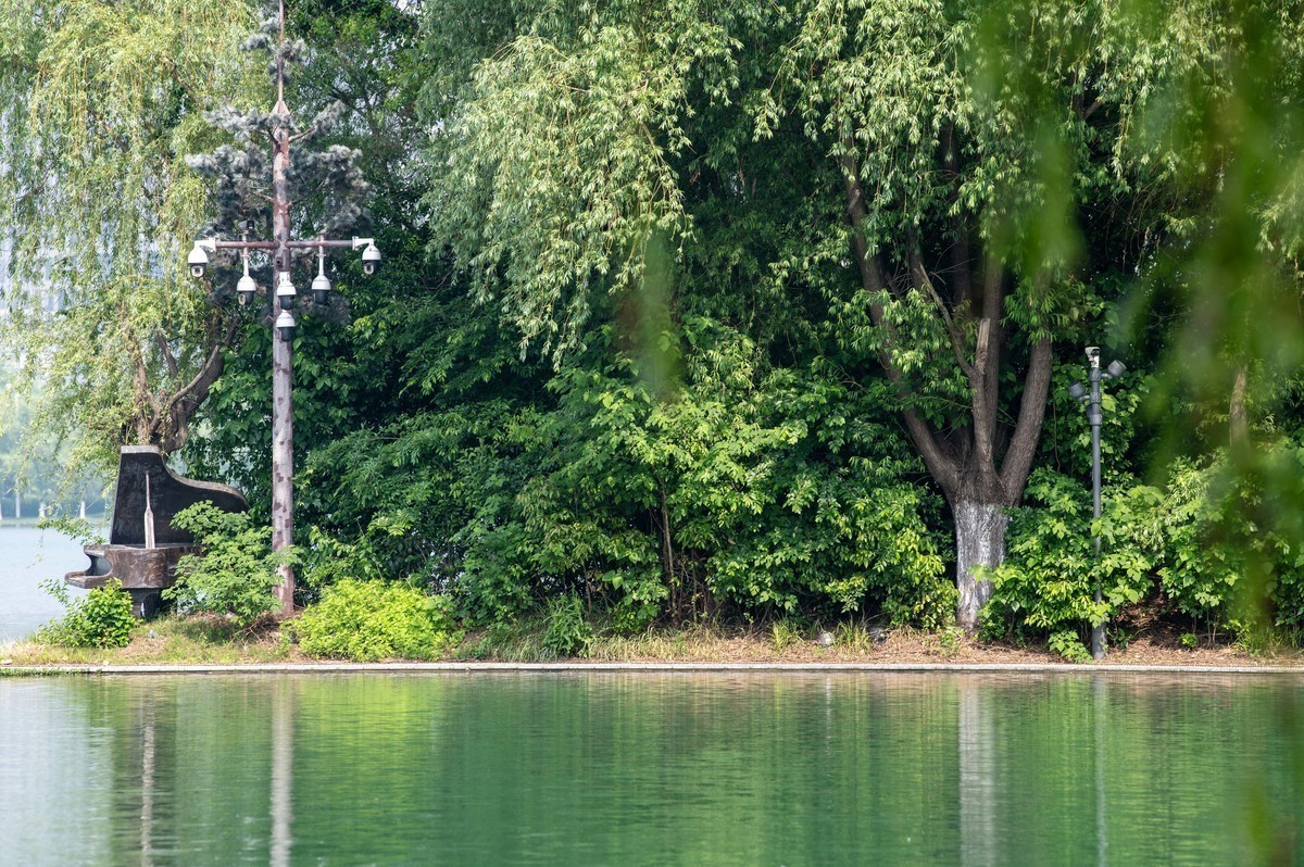 庐州印象（324）天鹅湖体育公园