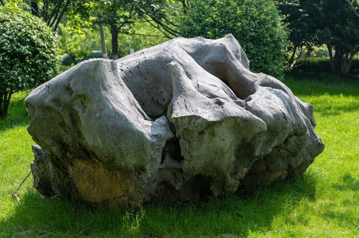 庐州印象（324）天鹅湖体育公园