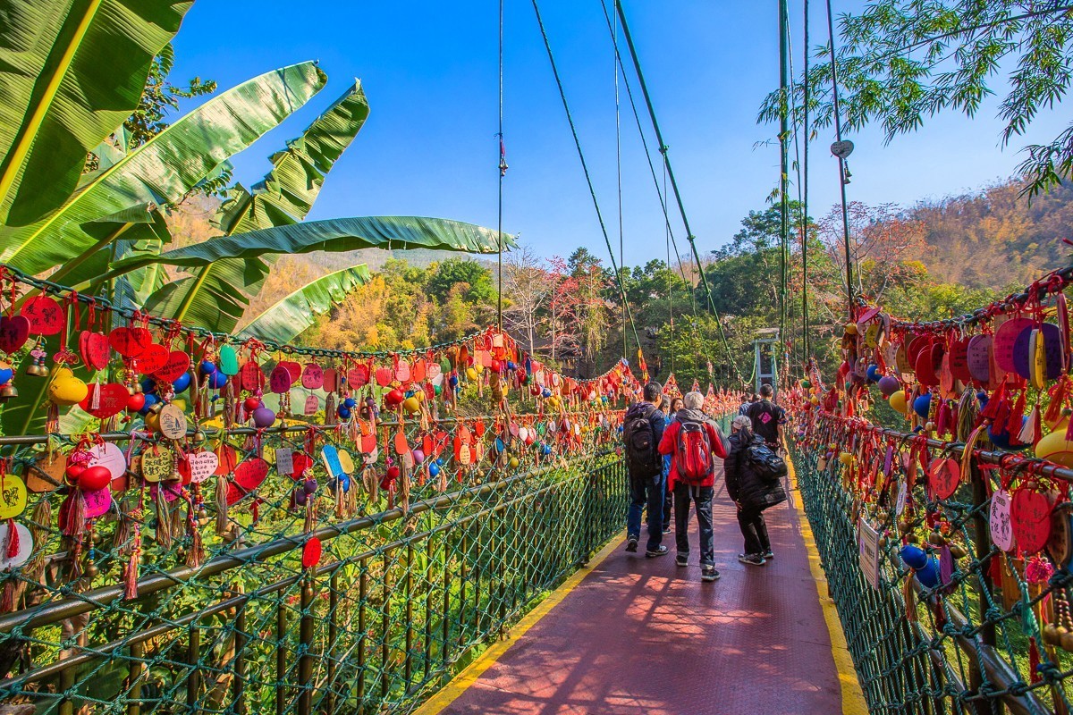 2024-04-22西双版纳原始森林公园爱伲山寨（一）