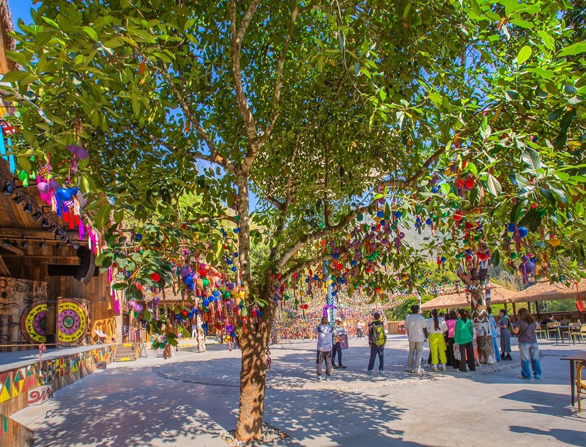 2024-04-22西双版纳原始森林公园爱伲山寨（一）