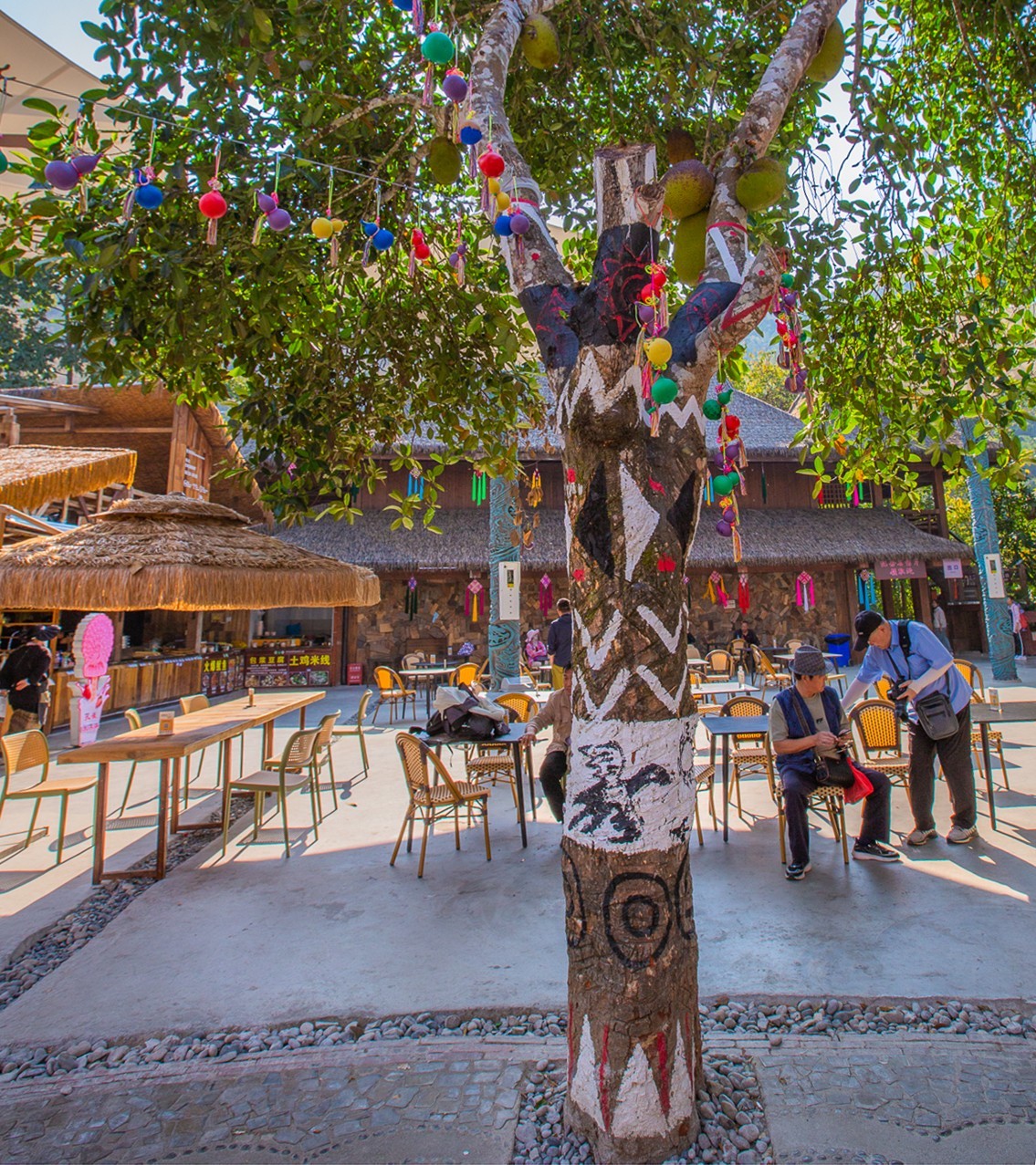 2024-04-22西双版纳原始森林公园爱伲山寨（一）