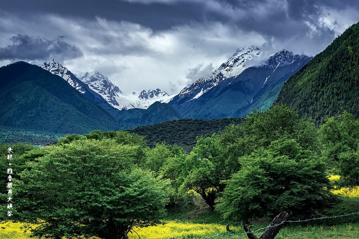 米林 · 雅鲁藏布大峡谷