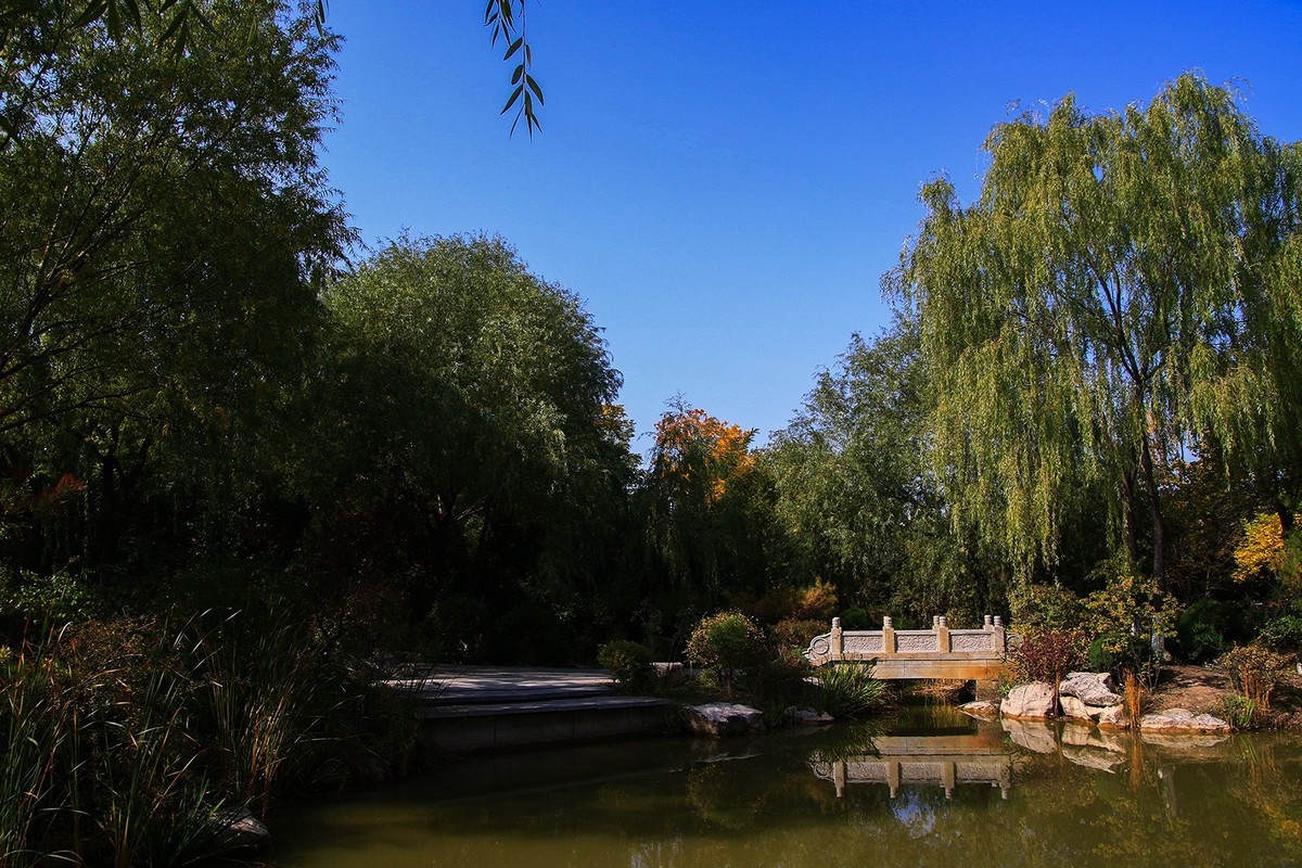 腾龙16-300这头可玩性不错啊！