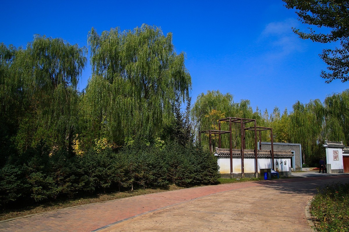 腾龙16-300这头可玩性不错啊！