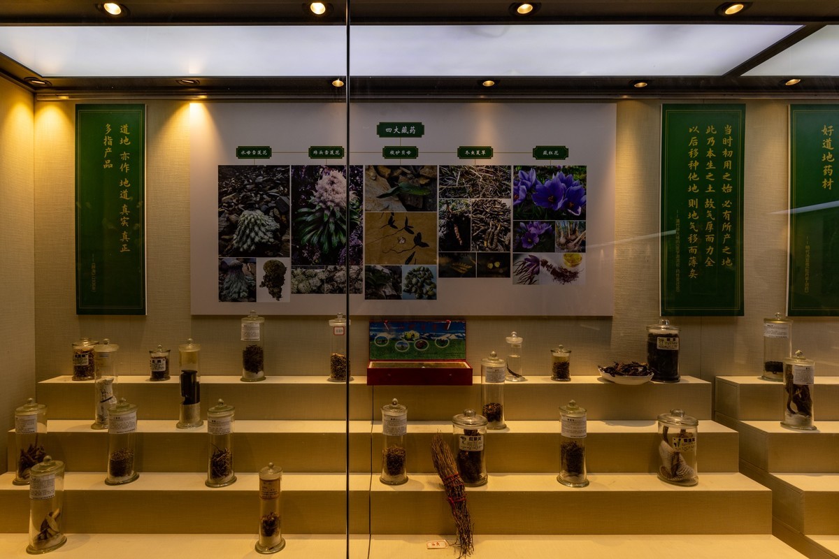 广东中药博物馆（18）