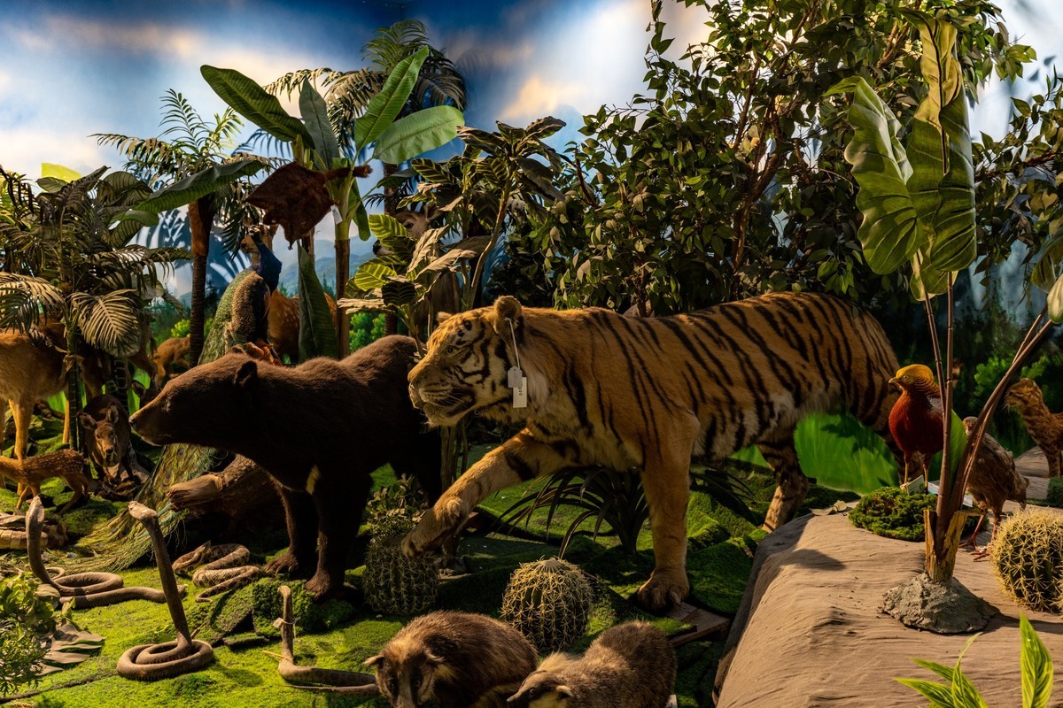 广东中药博物馆（18）