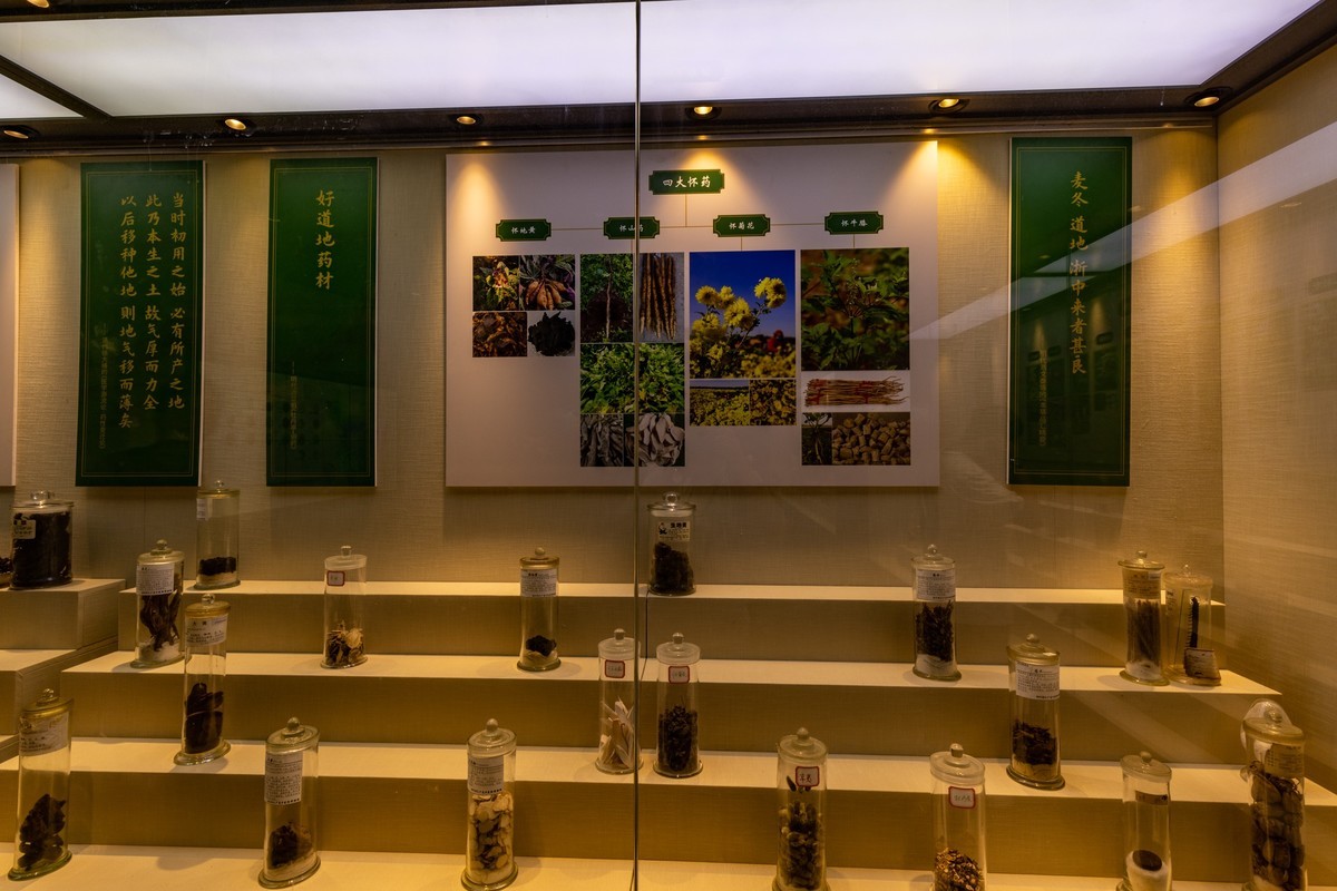 广东中药博物馆（18）