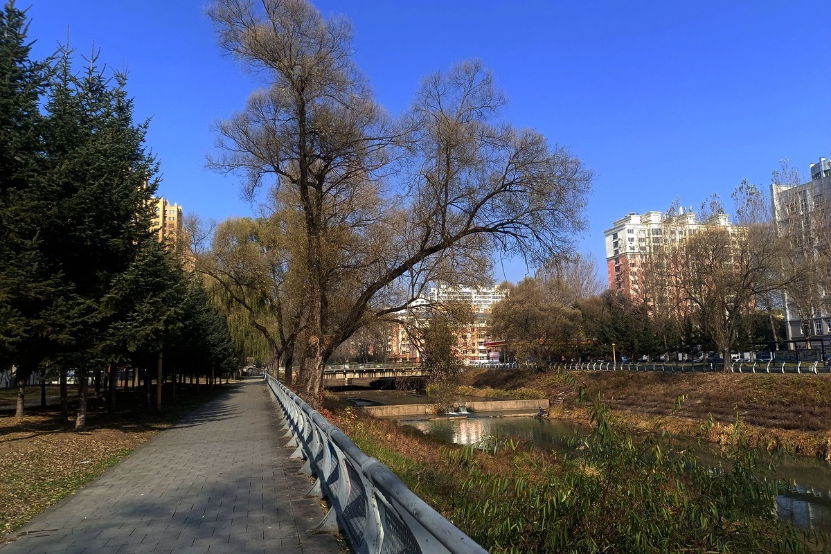 双龙公园之秋（完）