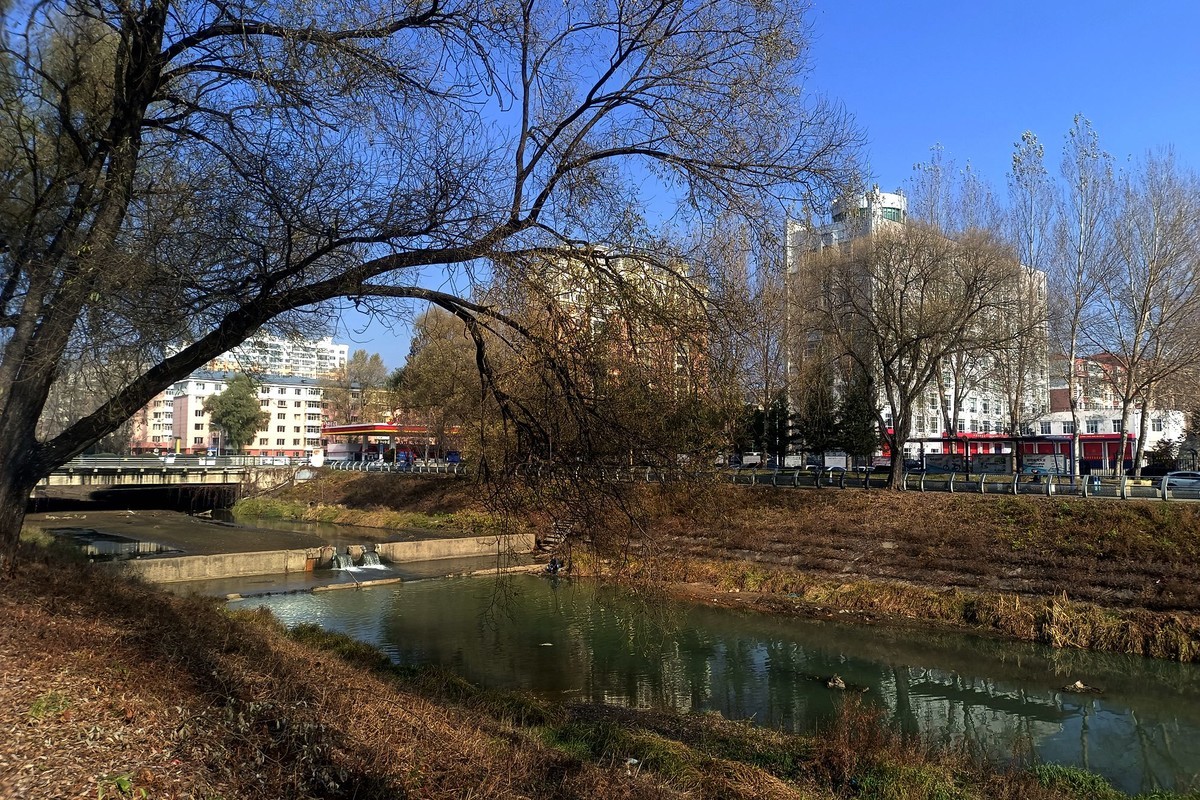 双龙公园之秋（完）