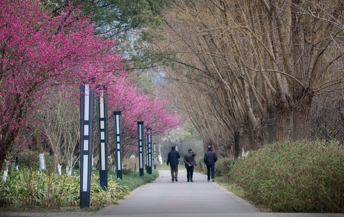 天气好了，鸟儿乱飞，适马长焦再拍鸟和花