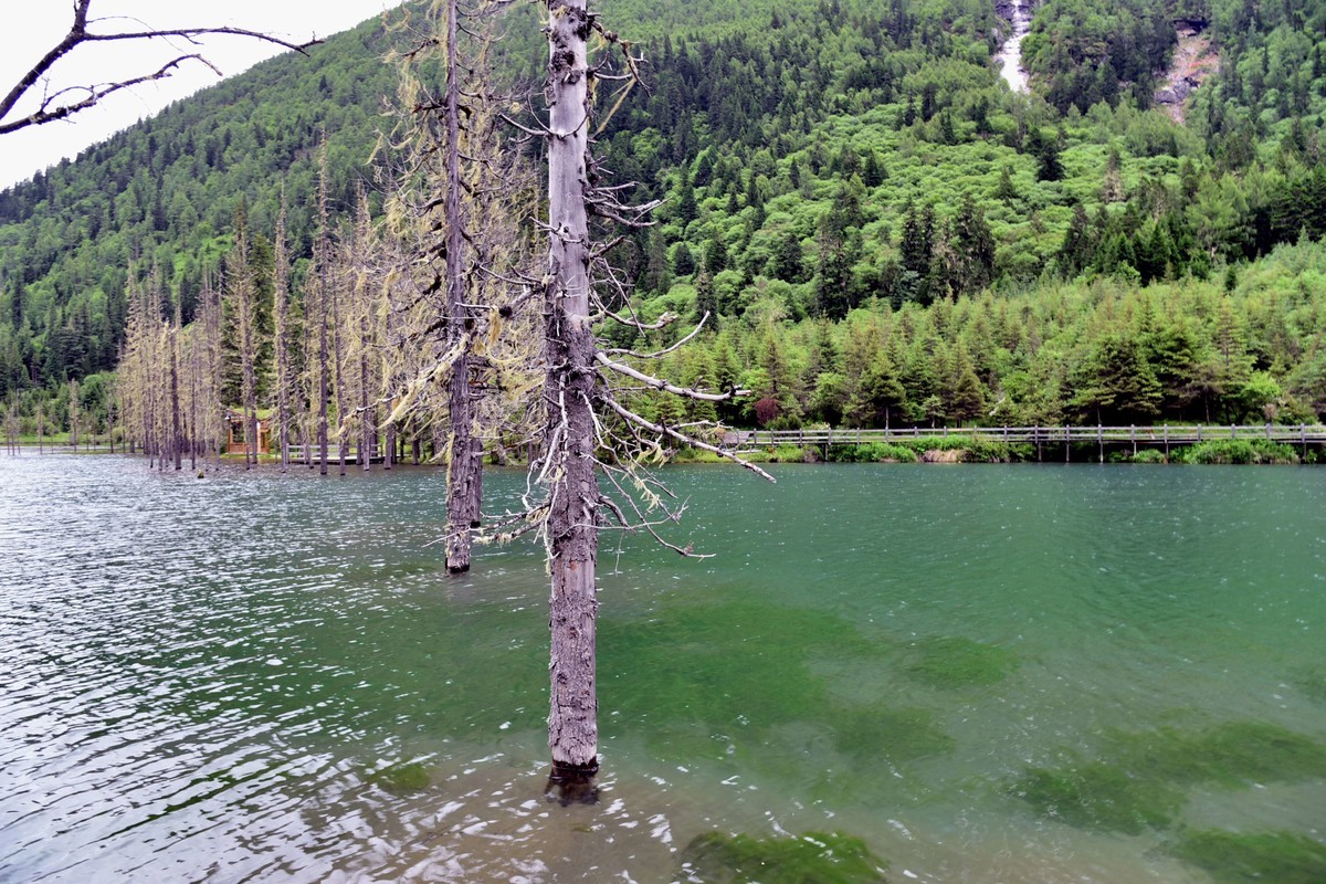 318边上美丽的川西风景，