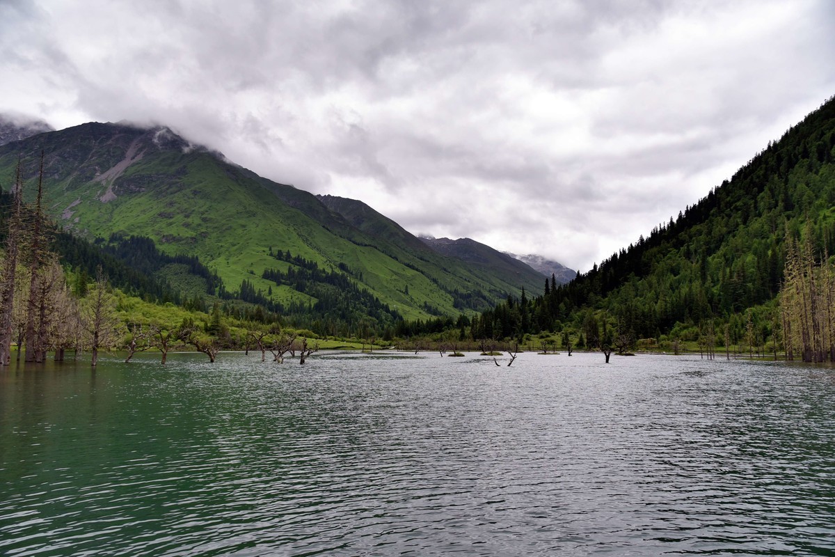 318边上美丽的川西风景，