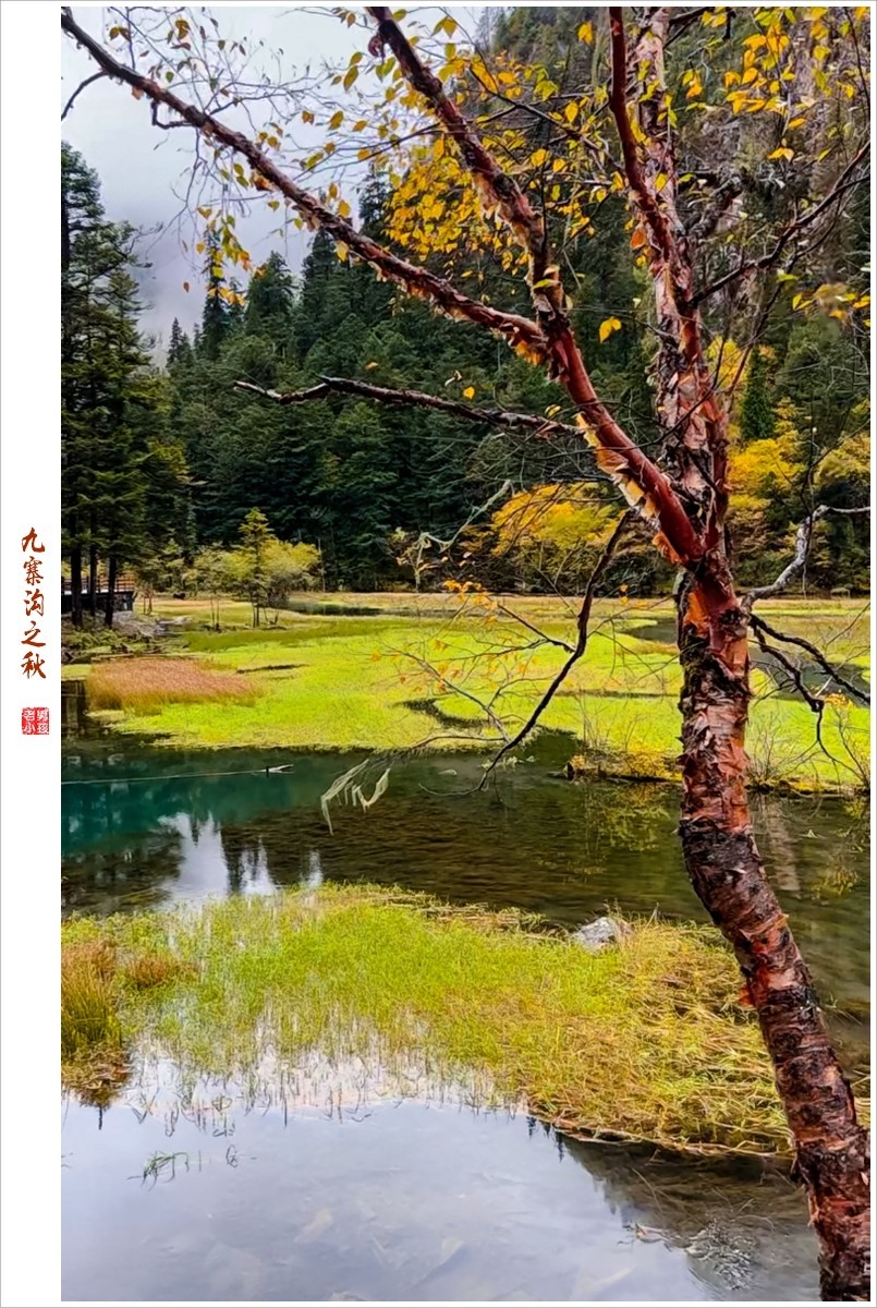 2022年第830贴-九寨沟云拍-253（1007F）