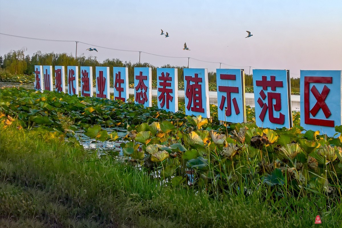 示范区的晚霞
