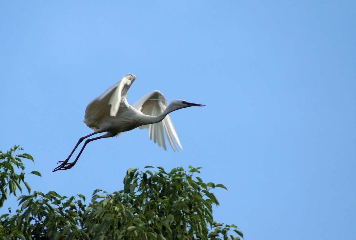 〖 展 翅 飞 翔 〗
